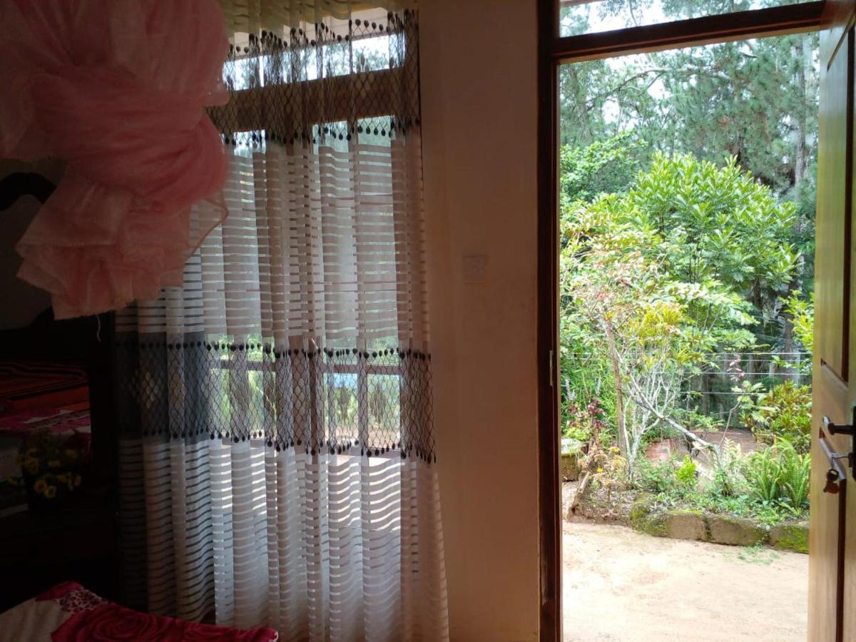 Pleasure Mount Homestay Ella Buitenkant foto